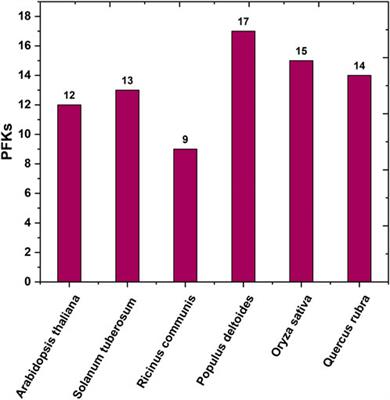 Genome-wide identification of the PFK gene family and their expression analysis in Quercus rubra